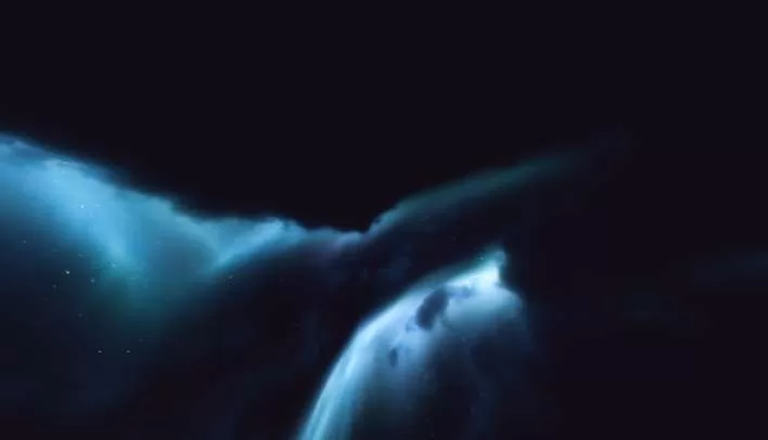 Gallery Image 2 for EcuaPack  on PVPRP