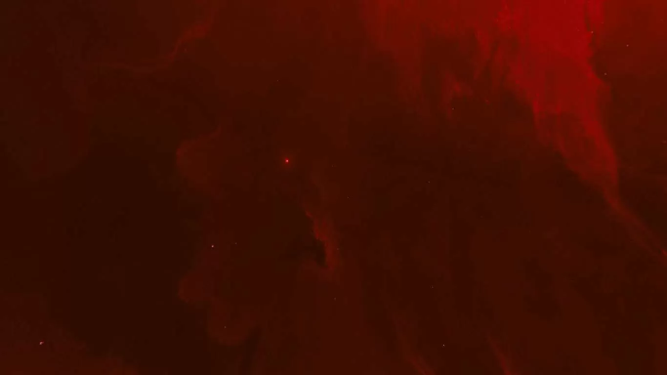 Gallery Image 5 for danzo on PVPRP