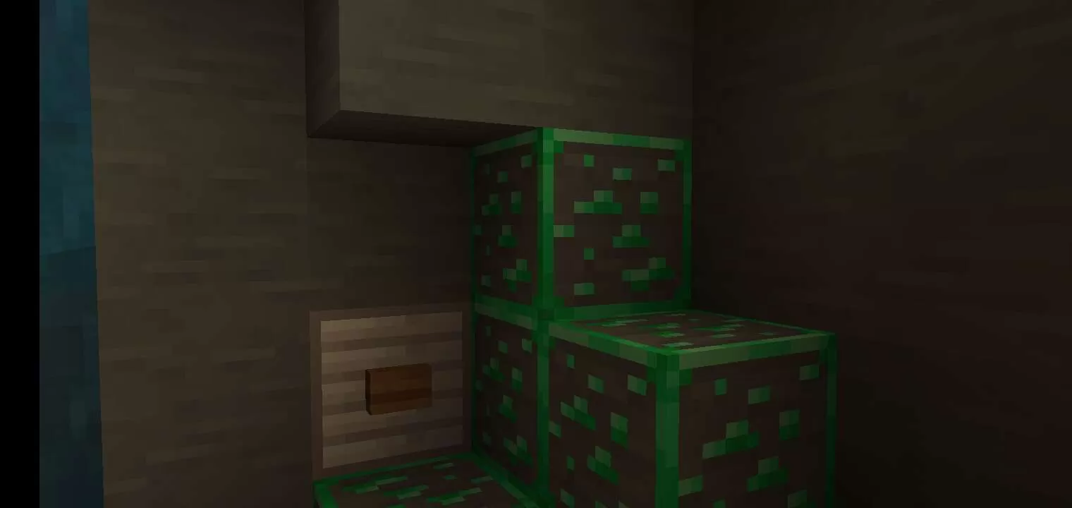 Gallery Image 6 for SEES on PVPRP