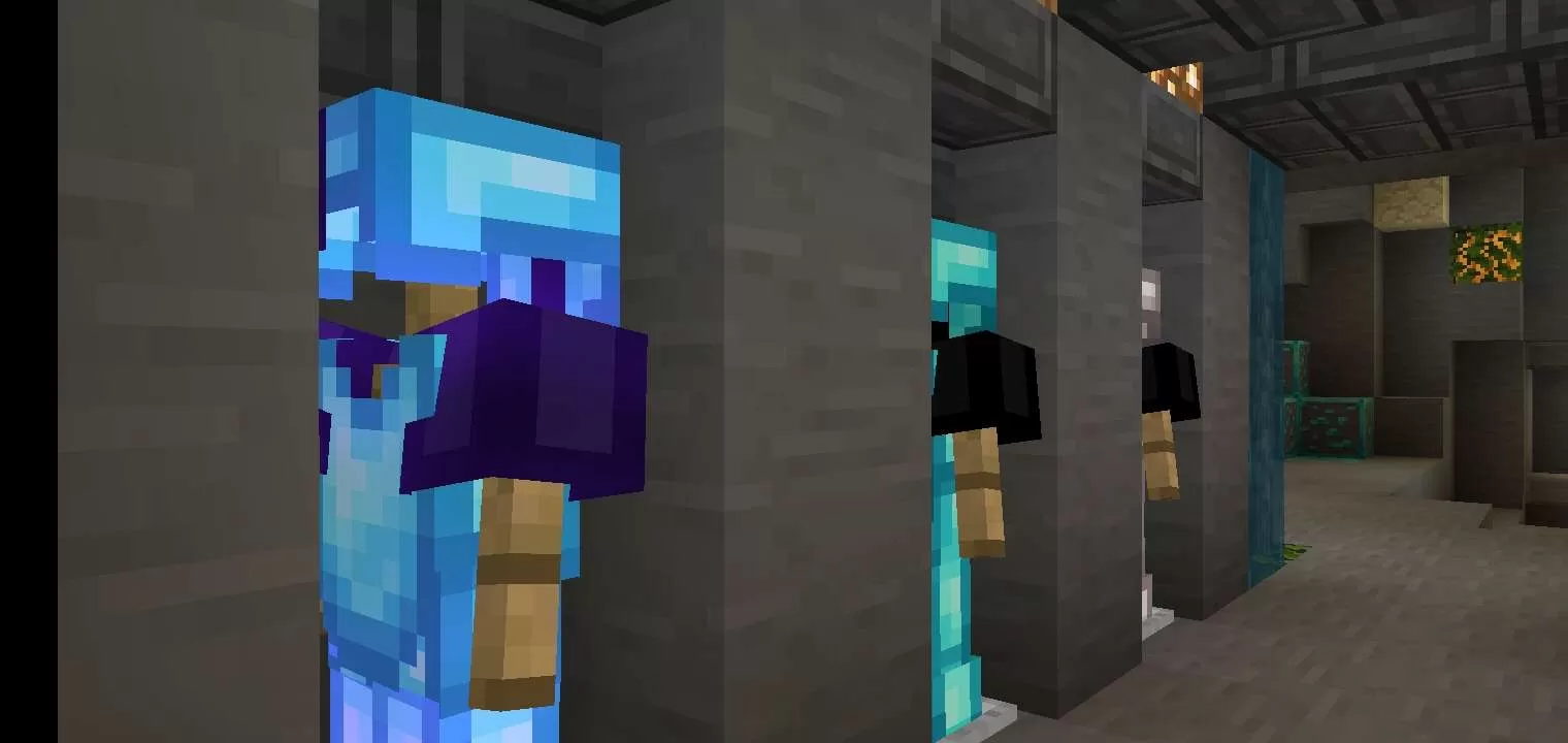 Gallery Image 7 for SEES on PVPRP