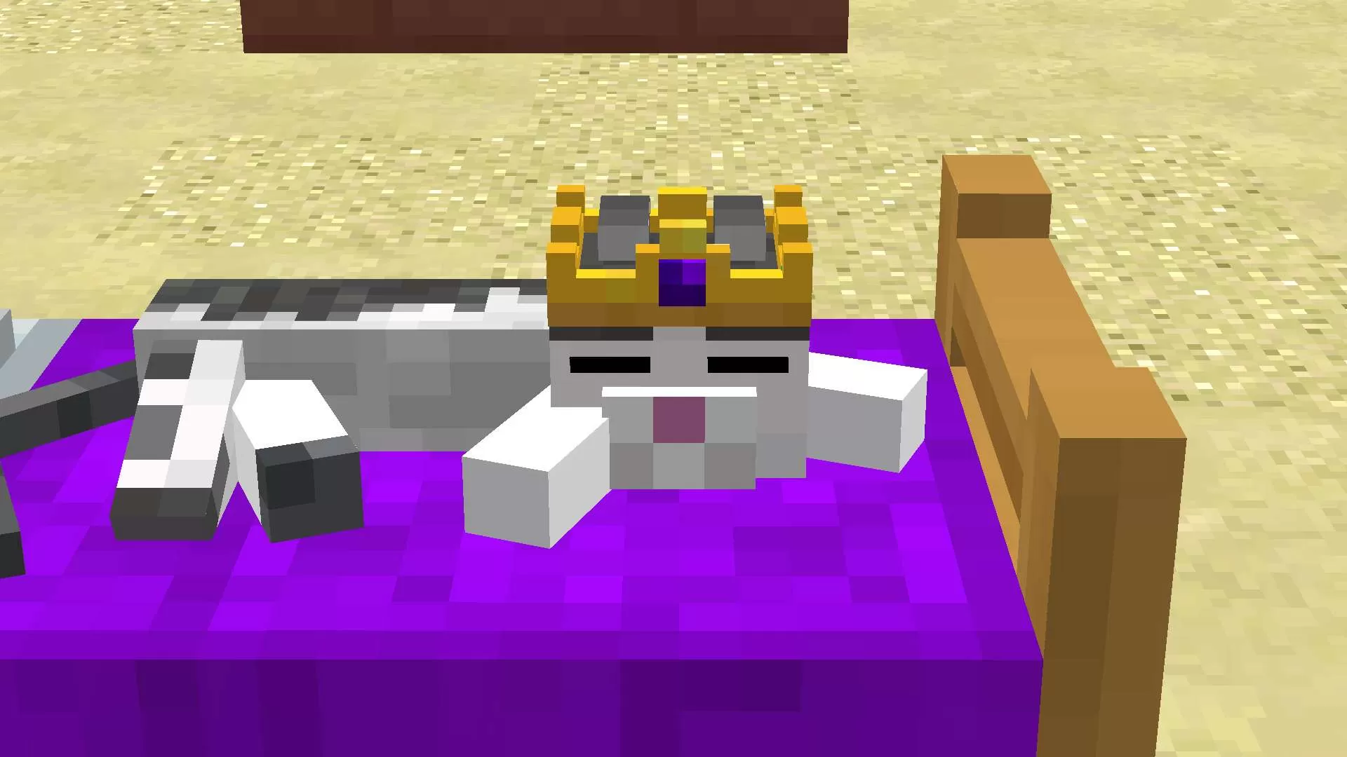 Gallery Image 1 for Deci 4K + Animated Cat Bed on PVPRP