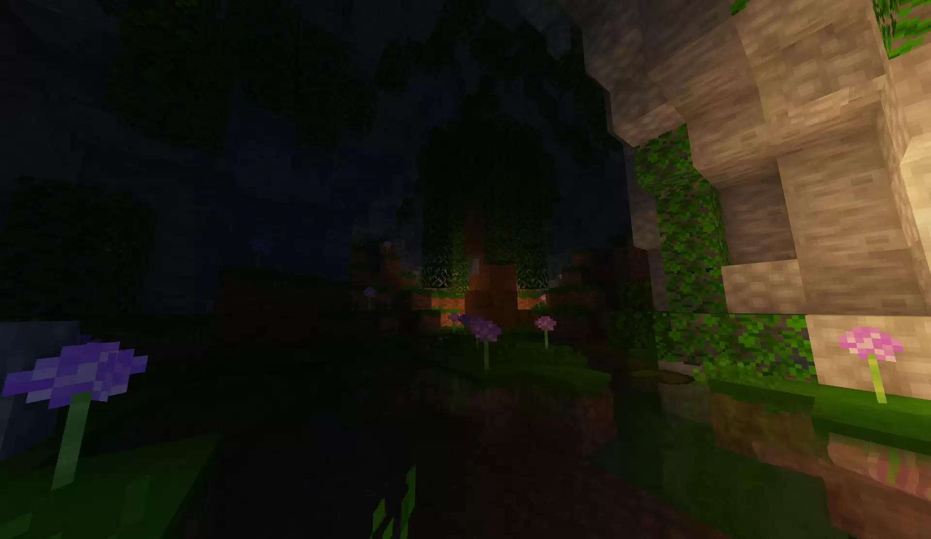 Gallery Image 2 for Vexa  on PVPRP