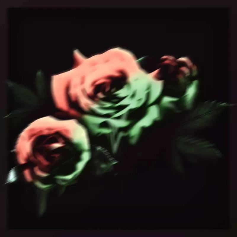 Gallery Banner for Aqua Rose V2 on PvPRP