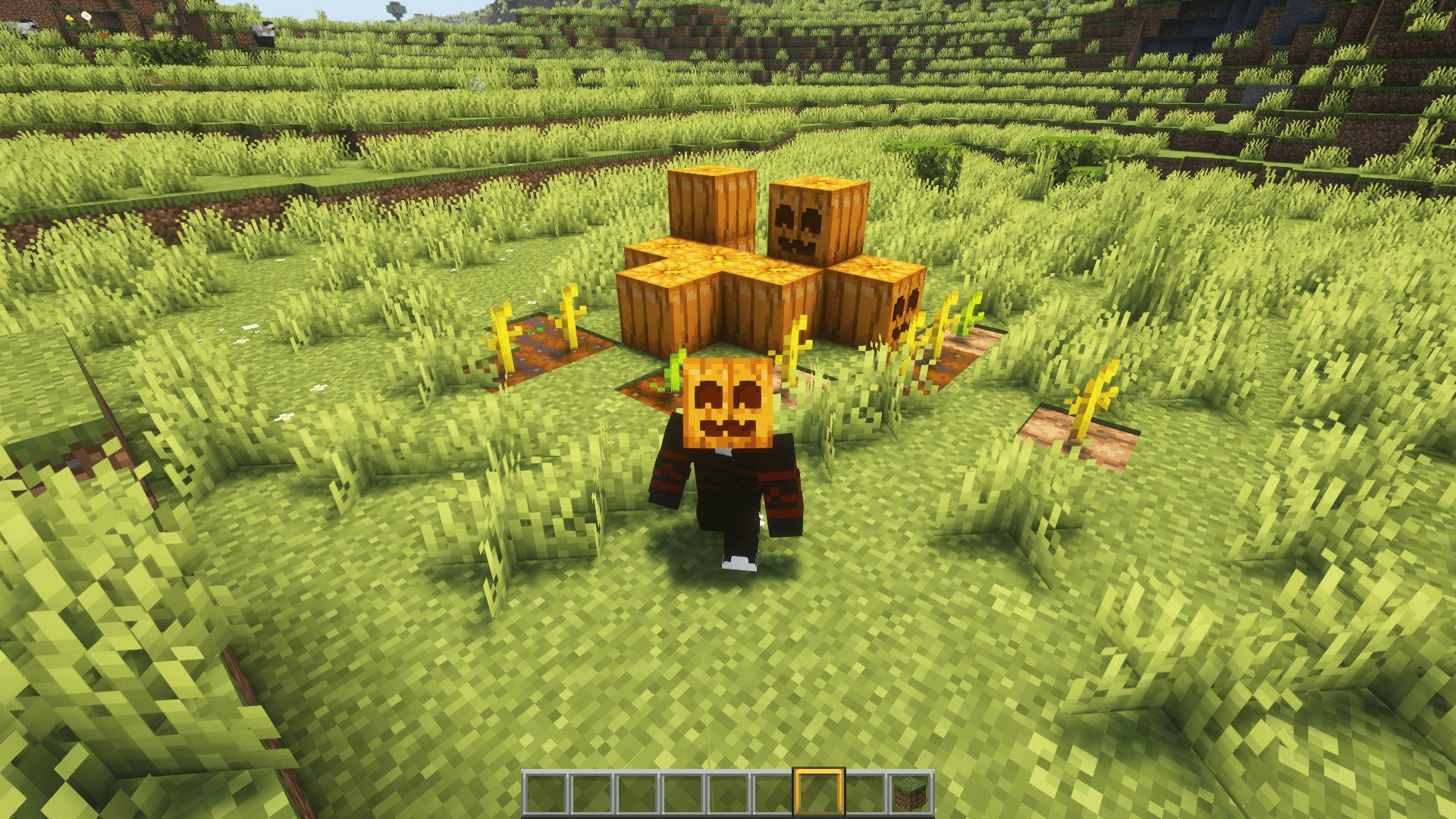 Gallery Image 1 for Cute Pumpkin on PVPRP