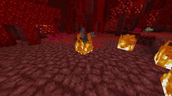 Gallery Image 2 for Translucent Low Fire on PVPRP