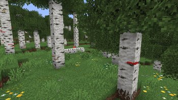 Gallery Image 1 for Lushier Forests on PVPRP