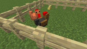 Gallery Image 2 for Renewed Animals on PVPRP