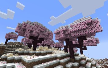 Gallery Image 2 for Default-Style Winter Pack on PVPRP