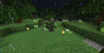 Gallery Image 2 for Resource Fixes & Tweaks on PVPRP