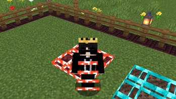 Gallery Image 2 for Smooth SMP pack on PVPRP
