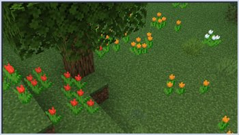 Gallery Image 2 for Flora Formae on PVPRP