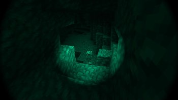 Gallery Image 4 for Authentic Night Vision on PVPRP