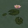 Gallery Image 1 for Realistic Lily Pads on PVPRP