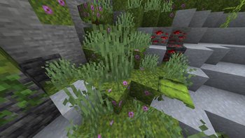 Gallery Image 2 for Simple Flowered Moss on PVPRP