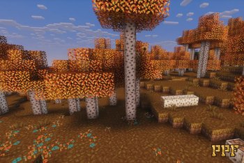 Gallery Image 2 for Pixel Perfection Fidelity on PVPRP