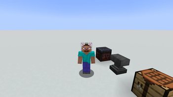 Gallery Image 4 for Catears on armor on PVPRP