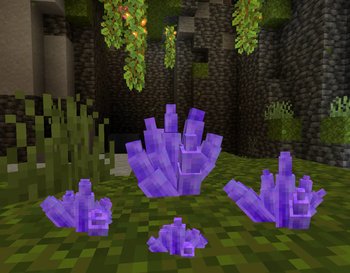 Gallery Image 2 for Evol