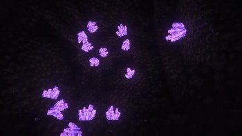 Gallery Image 3 for Evol