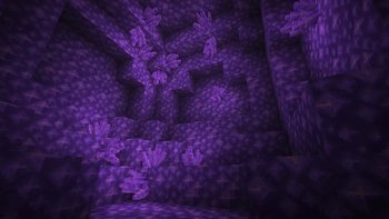 Gallery Image 4 for Evol