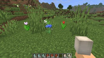 Gallery Image 2 for 3D Eggs on PVPRP