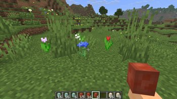 Gallery Image 3 for 3D Eggs on PVPRP