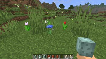 Gallery Image 4 for 3D Eggs on PVPRP