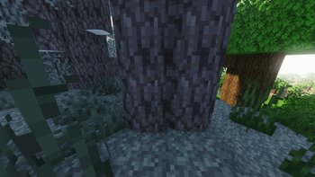 Gallery Image 3 for Enhanced Logs on PVPRP