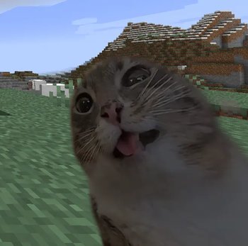 Gallery Image 1 for Cute Cat on PVPRP
