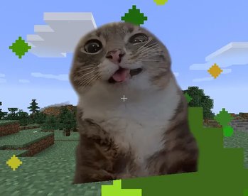 Gallery Image 4 for Cute Cat on PVPRP