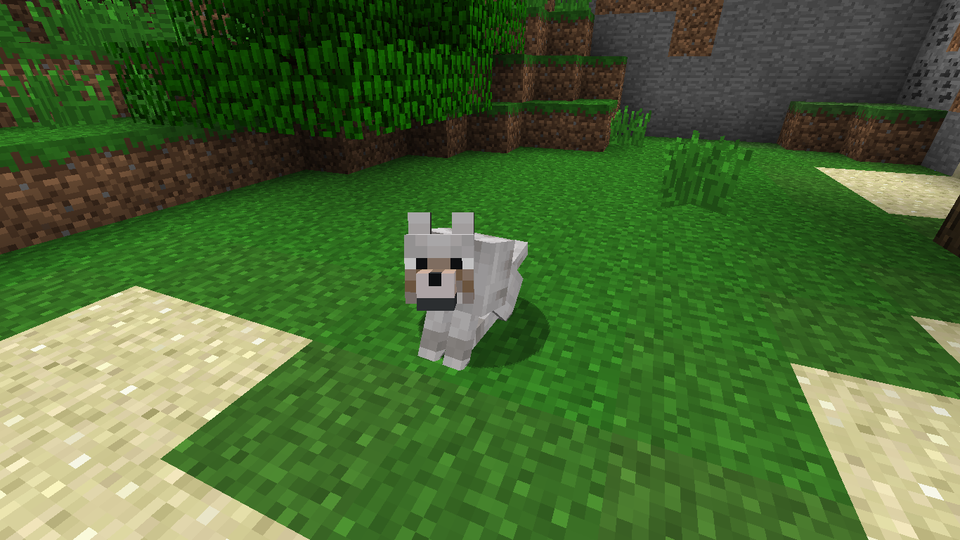 Gallery Image 1 for Wild Wolves on PVPRP