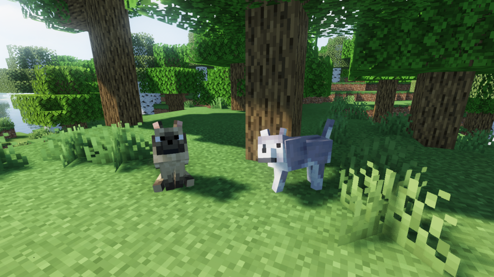 Gallery Image 2 for Wild Wolves on PVPRP