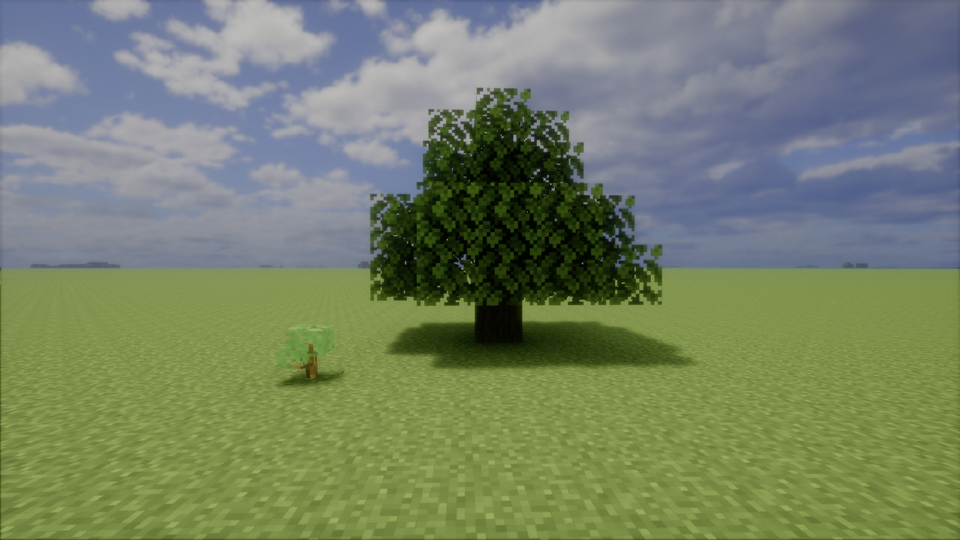 Gallery Image 1 for Overdetailed Saplings on PVPRP