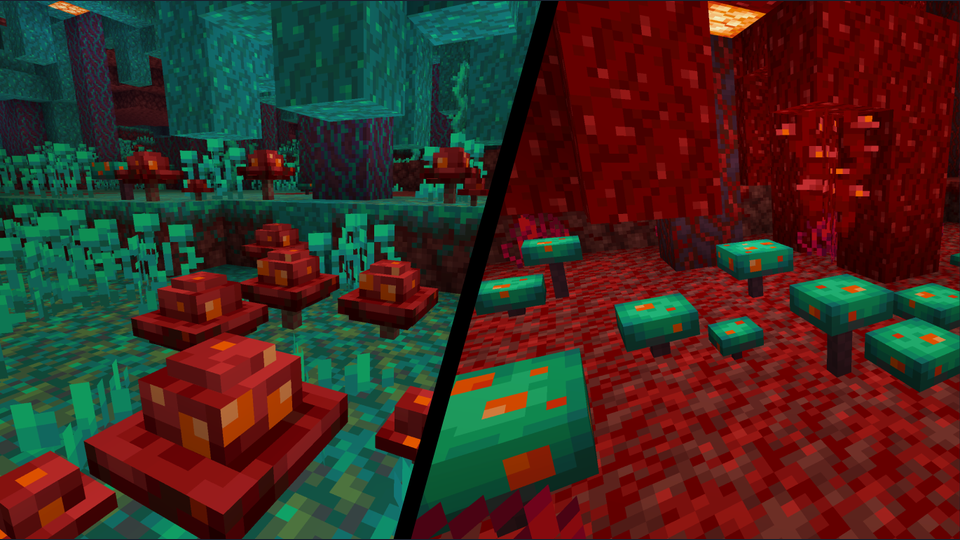 Gallery Image 1 for Mushrooms Plus on PVPRP
