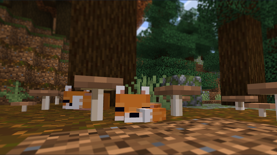 Gallery Image 2 for Mushrooms Plus on PVPRP