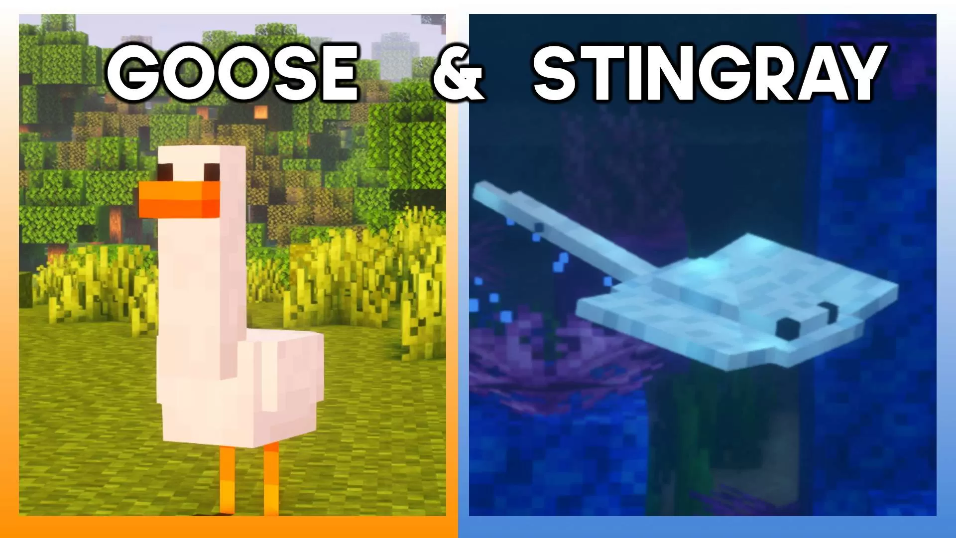 Gallery Banner for Goose & Stingray Overlay on PvPRP