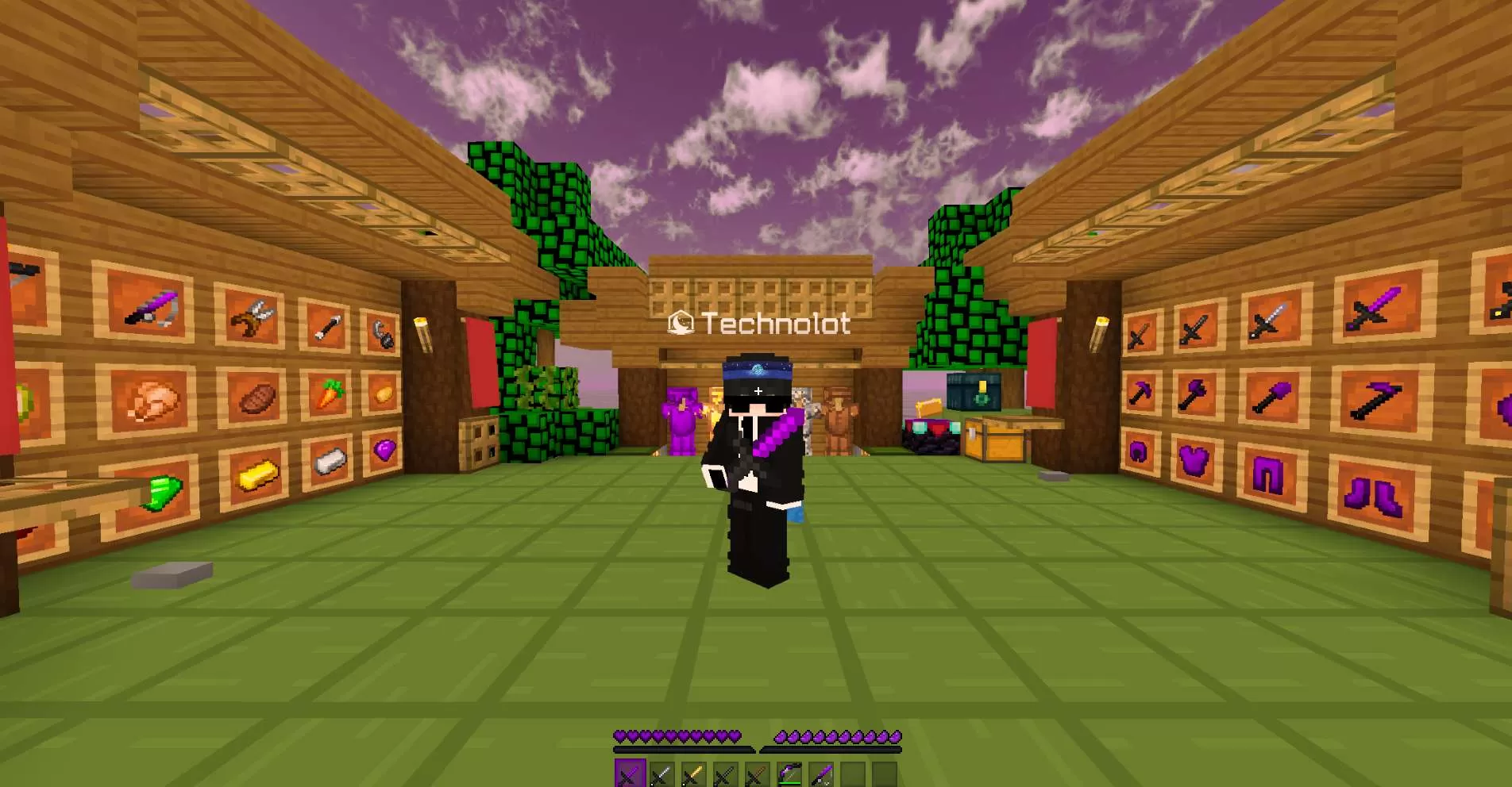 Gallery Image 1 for Technolot 35K (Recolor - Purple) on PVPRP