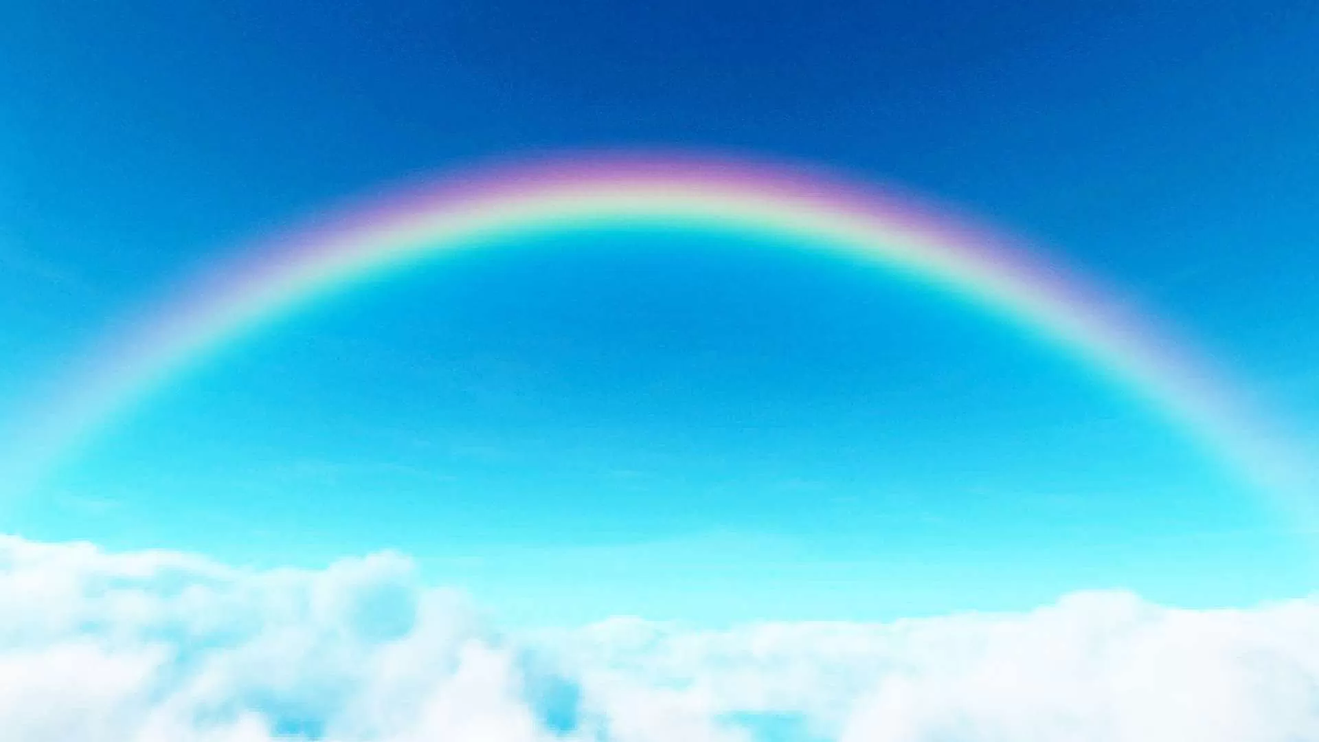 Gallery Image 5 for ShantV4 Revamp on PVPRP