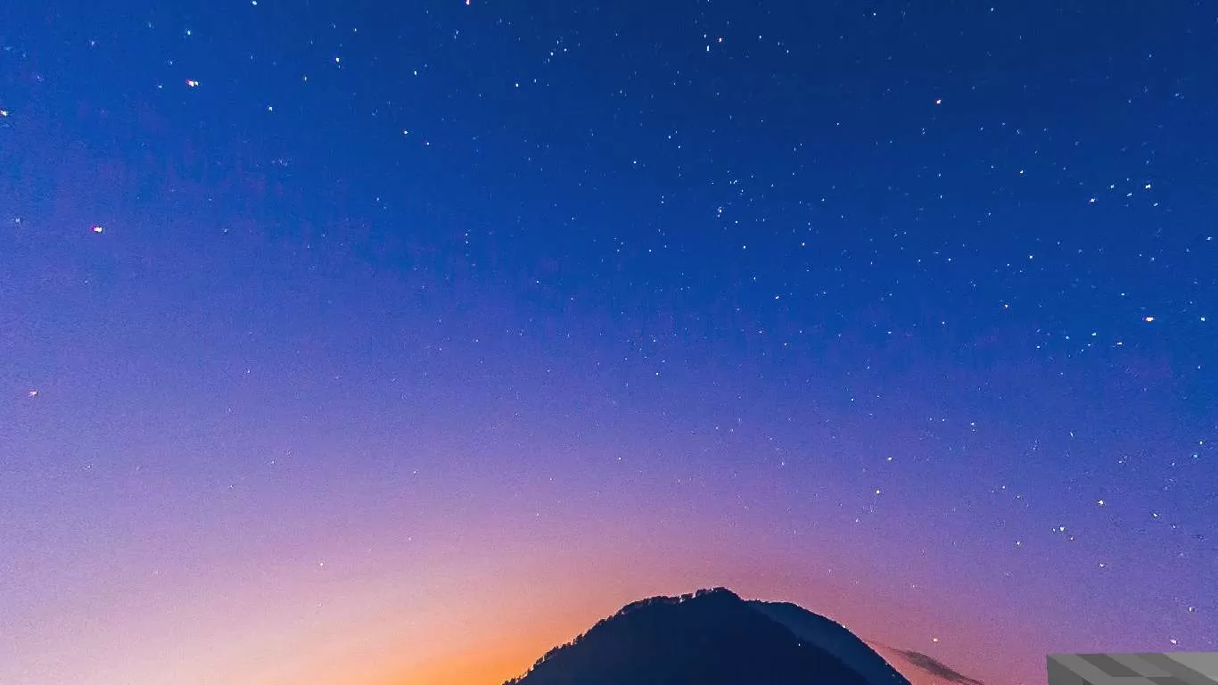 Gallery Image 8 for Love_Distance  on PVPRP