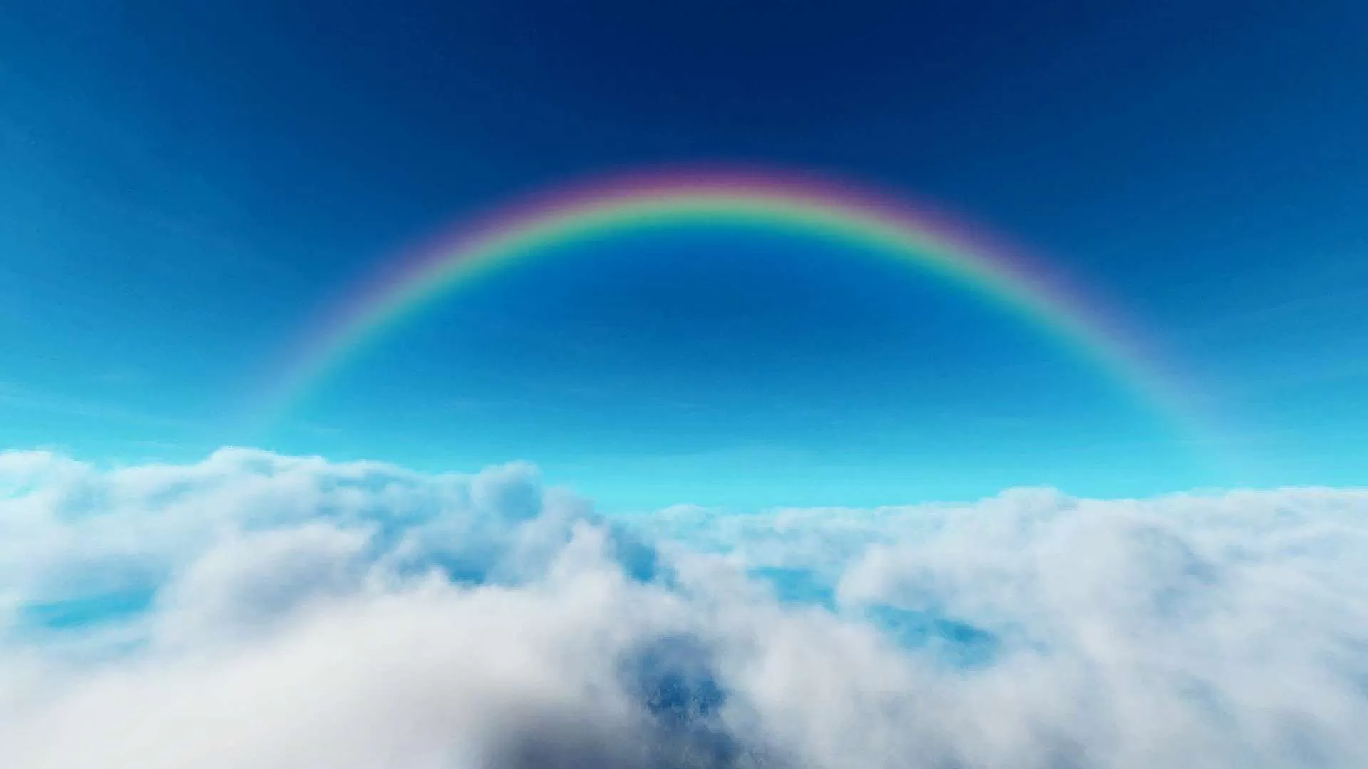 Gallery Image 1 for Legofault on PVPRP