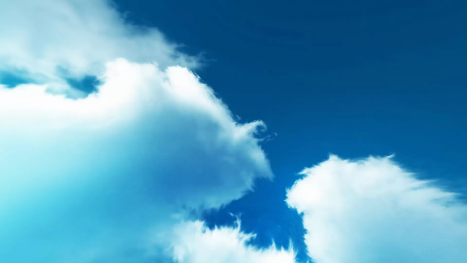 Gallery Image 4 for lazE on PVPRP