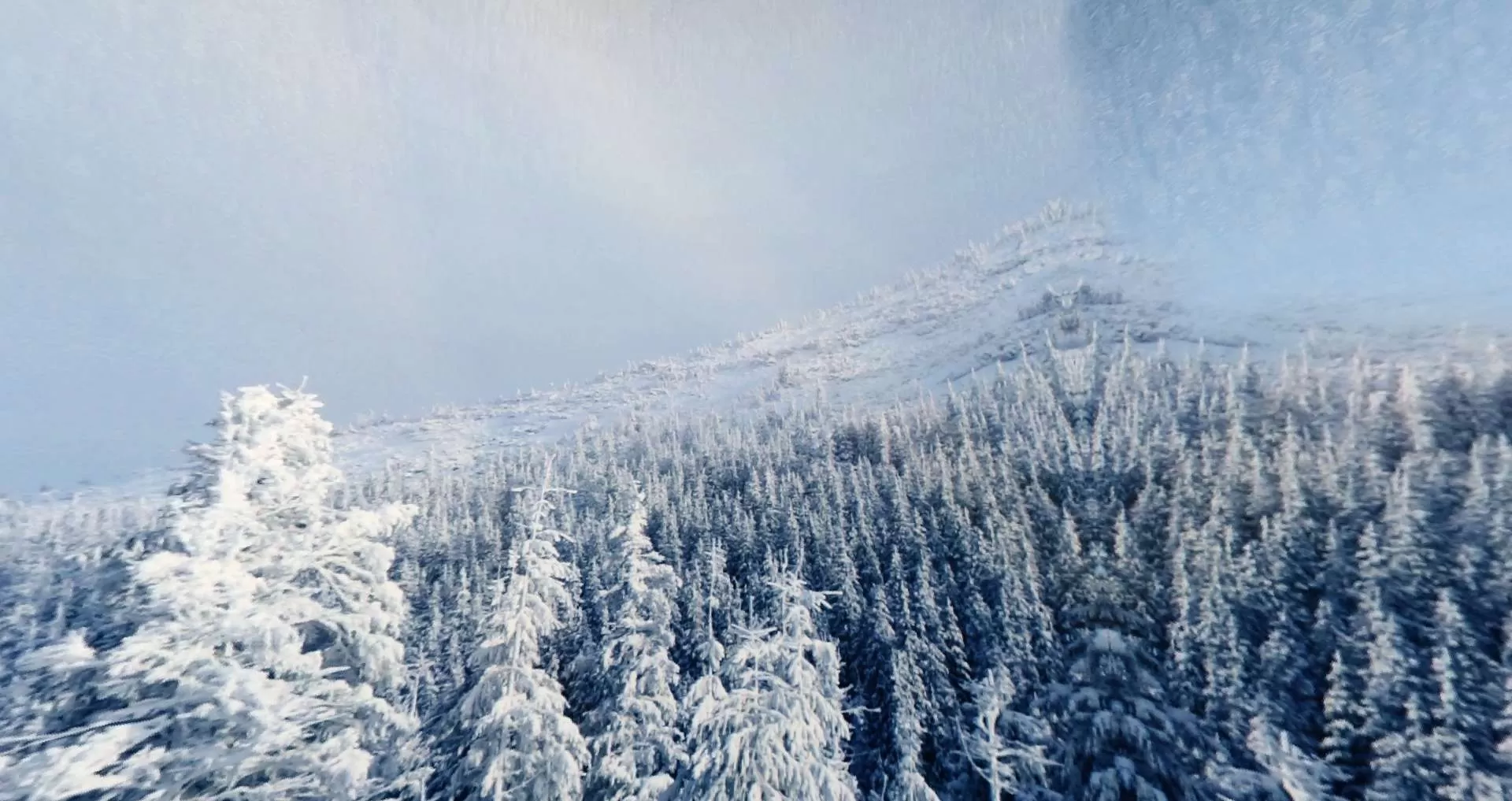 Gallery Image 6 for Freeze on PVPRP