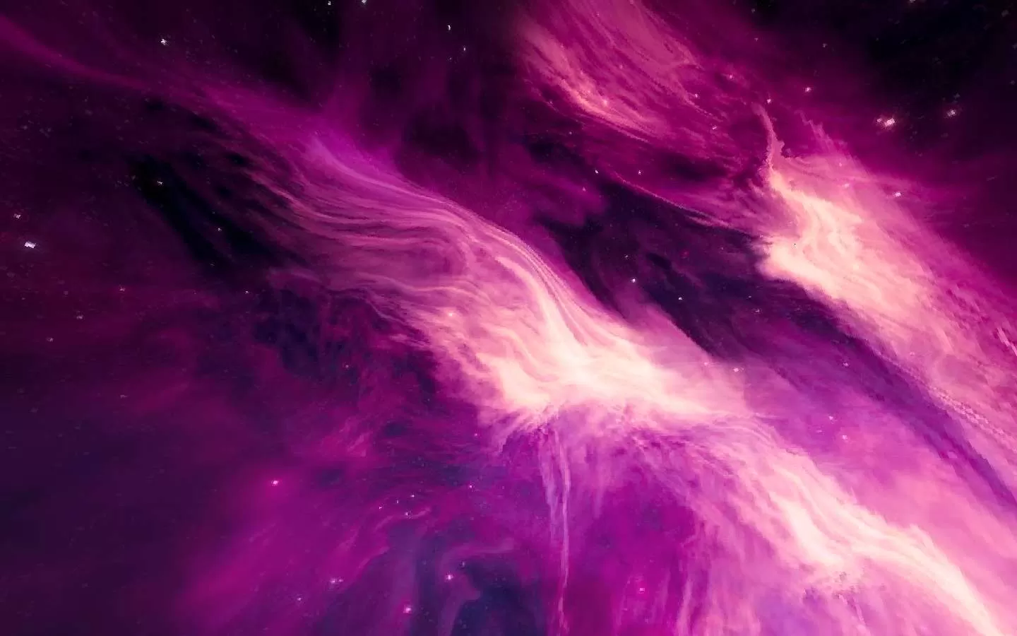 Gallery Image 1 for Neon Night on PVPRP