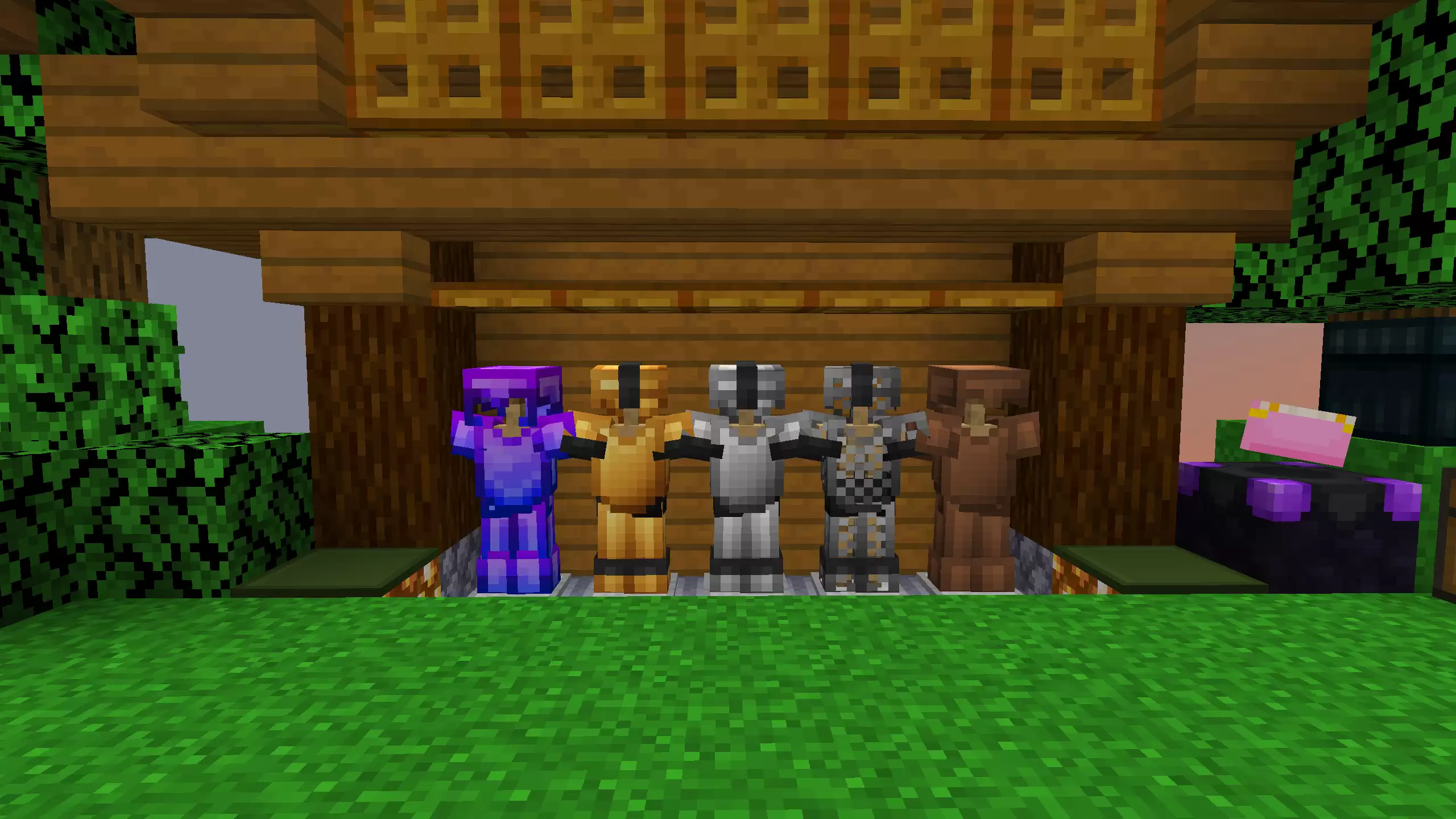 Gallery Image 1 for Amethire on PVPRP