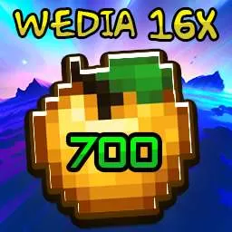 Gallery Image 1 for WeDia  on PVPRP