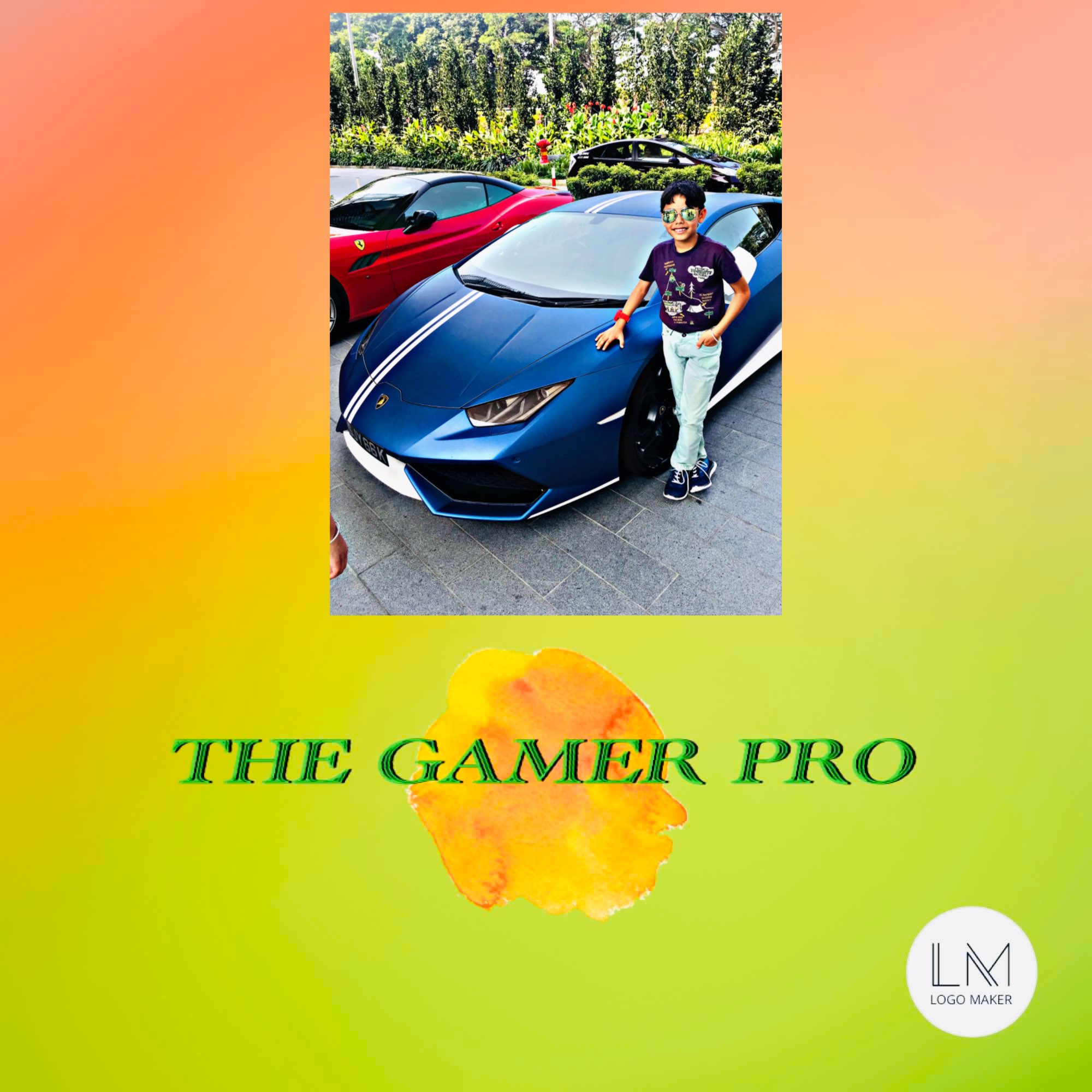 Profile picture of TheGamerProYT on PvPRP