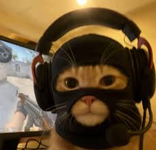 amirzx profile picture