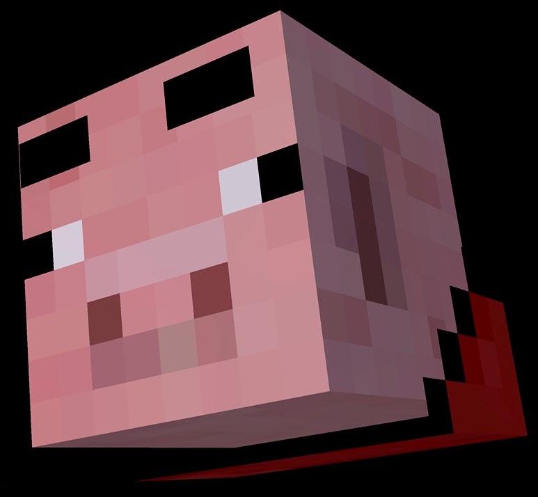 pigroom profile picture