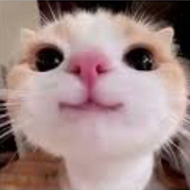 Profile picture of MeierMioo on PvPRP