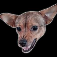 amelkaEsz's Profile Picture on PvPRP