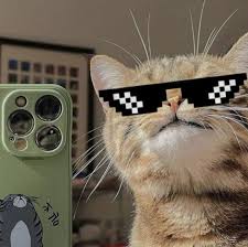 ZEROnvrdie's Profile Picture on PvPRP